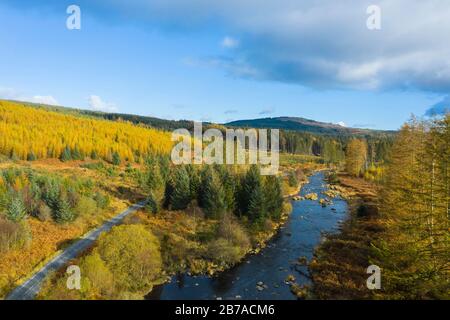 Galloway Forest im Herbst, Raiders Road und River Dee, Dumfries & Galloway, Schottland Stockfoto