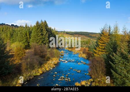 Galloway Forest und River Dee im Herbst, Dumfries & Galloway, Schottland Stockfoto