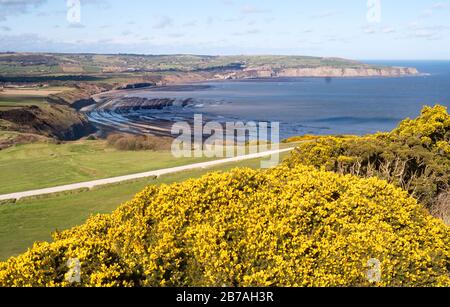 Blick auf Robin Hood's Bay von Ravenscar, North Yorkshire, England, Großbritannien Stockfoto