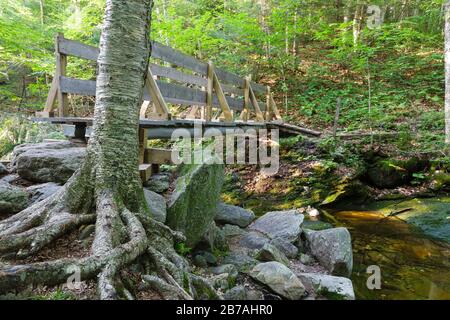 Fußgängerbrücke entlang des holt Trail in Orange, New Hampshire USA. Dieser Weg führt zum Gipfel des Cardigan Mountain. Stockfoto