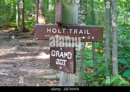 Der holt Trail in Orange, New Hampshire USA. Dieser Weg führt zum Gipfel des Cardigan Mountain. Stockfoto