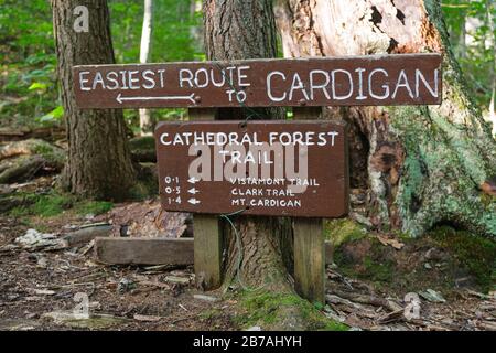 Wegkreuzung von Cathedral Forest Trail und holt Trail, der zum Gipfel des Cardigan Mountain in Orange, New Hampshire USA, führt. Cathedral Forest Stockfoto