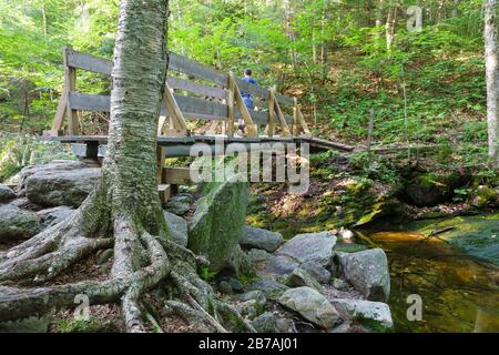 Fußgängerbrücke entlang des holt Trail in Orange, New Hampshire USA. Dieser Weg führt zum Gipfel des Cardigan Mountain. Stockfoto