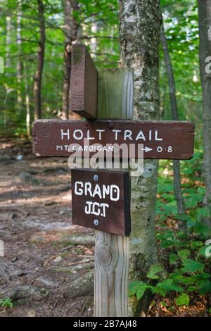 Der holt Trail in Orange, New Hampshire USA. Dieser Weg führt zum Gipfel des Cardigan Mountain. Stockfoto