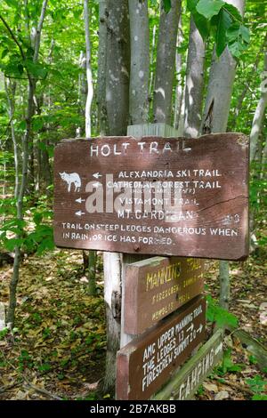 Der holt Trail in Orange, New Hampshire USA. Dieser Weg führt zum Gipfel des Cardigan Mountain. Stockfoto