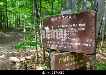 Der holt Trail in Orange, New Hampshire USA. Dieser Weg führt zum Gipfel des Cardigan Mountain. Stockfoto