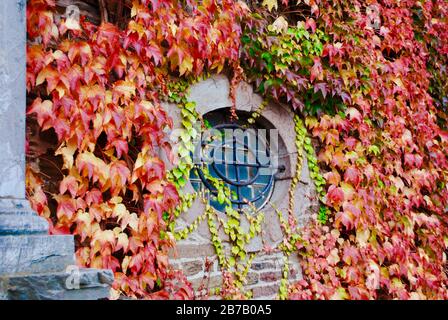 Attendorn, Deutschland - Herbstfarben im Burghotel Burg Schnellenberg in Attendorn, Deutschland. Im Kreis Olpe in Nord-Rhein-Westphali Stockfoto