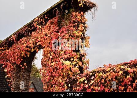 Attendorn, Deutschland - Herbstfarben im Burghotel Burg Schnellenberg in Attendorn, Deutschland. Im Kreis Olpe in Nord-Rhein-Westphali Stockfoto