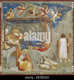 Giotto di Bondone - Nr. 17 Szenen aus dem Leben Christi - 1. Krippe - Geburt Jesu Stockfoto