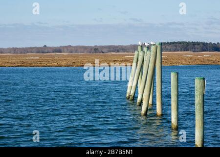 Salisbury Beach State Reservation in Salisbury, Massachusetts USA. Stockfoto