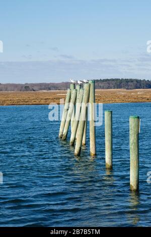 Salisbury Beach State Reservation in Salisbury, Massachusetts USA. Stockfoto