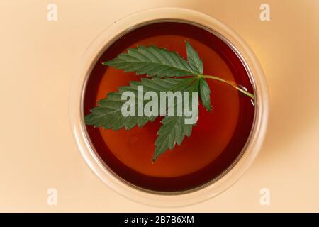Cannabis Kräutertee und Marihuana Blätter Stockfoto