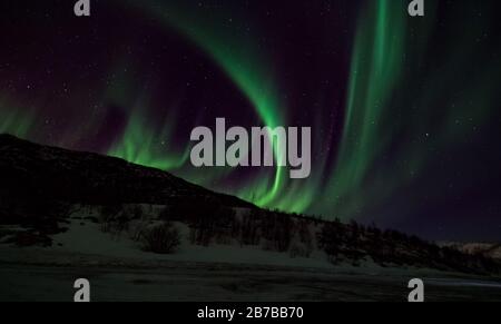 Aurora borealis bei tromso norwegen Stockfoto