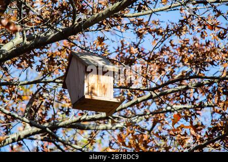 Holz- selbstgemachte Vogelhäuschen hängend an einem Zweig der Baumstruktur Stockfoto