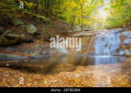 Schöner Wald im Herbst in Spanien mit einem kleinen Bach, dem Berg Montseny Stockfoto