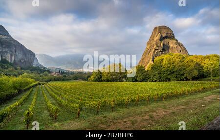 Panoramablick auf Kalambaka mit schönen Weinbergen. Stockfoto