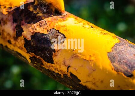 Gealterte gelb lackierte Metallkorrosion (Nahaufnahme) Stockfoto