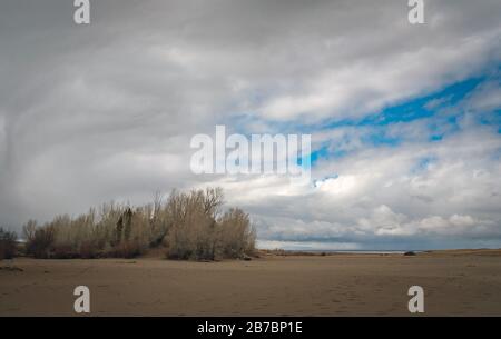 Colorado, USA. März 2020. Ein Frühlingsturm baut sich über das San Luis Valley in Colorado auf und nähert sich dem Great Sand Dunes National Park. Die Great Sand Dunes sind nur eine einfache Fahrt vom Monte Vista National Wildlife Refuge und der jährlichen Sandhill Crane Migration entfernt. Monte Vista National Wildlife Refuge, Monte Vista, Colorado. Credit: Cal Sport Media/Alamy Live News Stockfoto