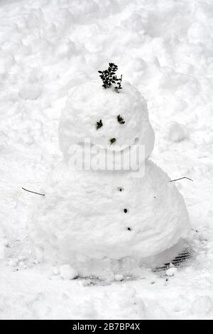 Echter Schneemann mit großem lächelndem Gesicht und Augen und Haaren aus Baumzweigen Stockfoto