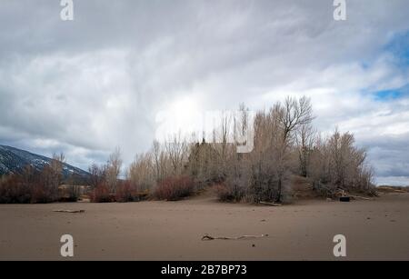 Colorado, USA. März 2020. Ein Frühlingsturm baut sich über das San Luis Valley in Colorado auf und nähert sich dem Great Sand Dunes National Park. Die Great Sand Dunes sind nur eine einfache Fahrt vom Monte Vista National Wildlife Refuge und der jährlichen Sandhill Crane Migration entfernt. Monte Vista National Wildlife Refuge, Monte Vista, Colorado. Credit: Cal Sport Media/Alamy Live News Stockfoto