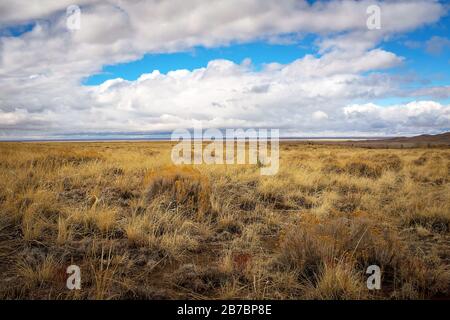 Colorado, USA. März 2020. Ein Frühlingsturm baut sich über das San Luis Valley in Colorado auf und nähert sich dem Great Sand Dunes National Park. Die Great Sand Dunes sind nur eine einfache Fahrt vom Monte Vista National Wildlife Refuge und der jährlichen Sandhill Crane Migration entfernt. Monte Vista National Wildlife Refuge, Monte Vista, Colorado. Credit: Cal Sport Media/Alamy Live News Stockfoto