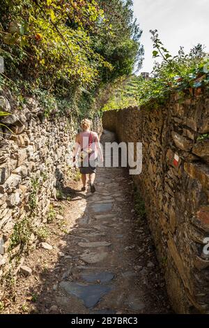 Der Cinque Terre Trail zwischen Vernazza und Corniglia, Italien. Stockfoto