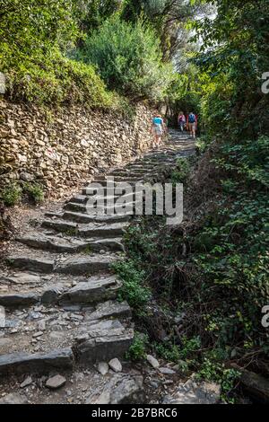 Ein steiler Abschnitt des Cinque Terra Trails zwischen Vernazza und Corniglia, Italien. Stockfoto