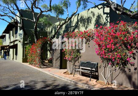 Eine antike Bank mit Pink- und roten Bougainvillea-Reben, die die wände im adobe-stil des Seiteneingangs zu Geschäften in Old Town Scottsdale, AZ, USA, hochklettern Stockfoto