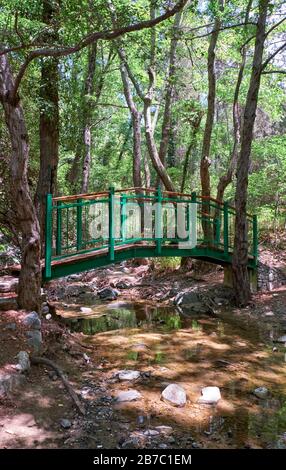 Wald auf dem Millomeris Naturpfad zum Millomeris Wasserfall. Brücke über den Fluss Kryos. Platres, Zypern. Stockfoto