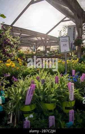 Das Sloat Garden Center ist eine Baumschulkette, die viele verschiedene Arten von Pflanzen für Gärten verkauft. Dieser befindet sich in Kentfield, CA. Stockfoto