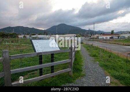 Viele Wanderwege erstrecken sich über den Corte Madera Marsh State Marine Park, der eine schöne Aussicht bietet. Stockfoto