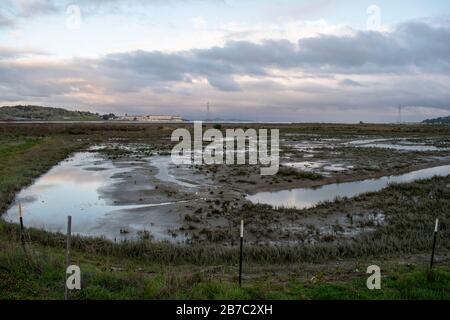 Viele Wanderwege erstrecken sich über den Corte Madera Marsh State Marine Park, der eine schöne Aussicht bietet. Stockfoto