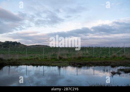 Viele Wanderwege erstrecken sich über den Corte Madera Marsh State Marine Park, der eine schöne Aussicht bietet. Stockfoto