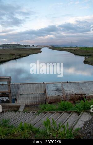 Viele Wanderwege erstrecken sich über den Corte Madera Marsh State Marine Park, der eine schöne Aussicht bietet. Stockfoto