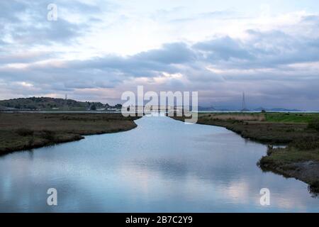 Viele Wanderwege erstrecken sich über den Corte Madera Marsh State Marine Park, der eine schöne Aussicht bietet. Stockfoto