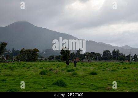 Viele Wanderwege erstrecken sich über den Corte Madera Marsh State Marine Park, der eine schöne Aussicht bietet. Stockfoto