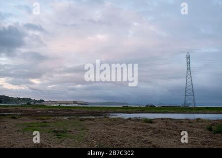 Viele Wanderwege erstrecken sich über den Corte Madera Marsh State Marine Park, der eine schöne Aussicht bietet. Stockfoto