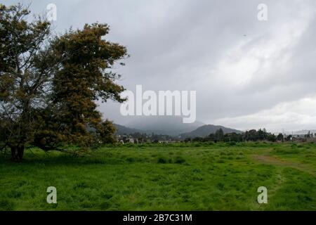 Viele Wanderwege erstrecken sich über den Corte Madera Marsh State Marine Park, der eine schöne Aussicht bietet. Stockfoto