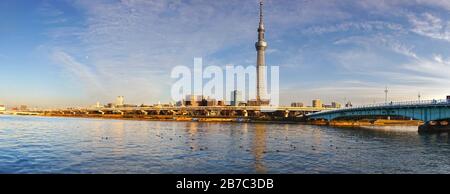 Panorama-Skyline von Tokio Japan vom Asakusa District mit Brücke über den Sumida River und entferntem Skytree, dem höchsten Turm der Welt, am Horizont Stockfoto