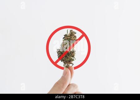 Hand hält medizinische Marihuana-Knospe mit nicht erlaubtem Zeichen, isoliert auf weißem Hintergrund Stockfoto