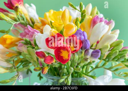 Freesia blüht in einer Glasvase. Stockfoto