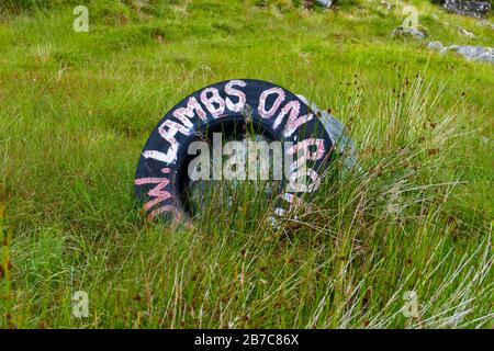 Hinweis auf Reifen mit dem englischen Text langsame Lämmer auf der Straße, in den Highlands von Schottland Stockfoto
