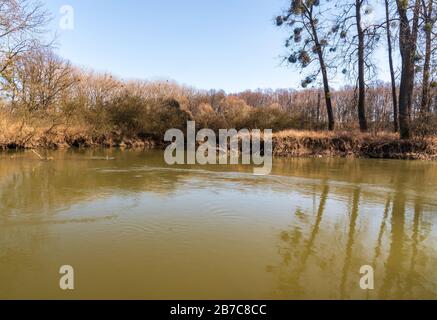 Der Fluss Odra schlängelt sich in CHKO Poodri in Tschechien während des schönen Frühlingstages Stockfoto