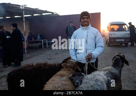 Einheimische bringen ihre Schafe zum morgendlichen Viehmarkt in einem Dorf in der Nähe von Buchara, Usbekistan Stockfoto