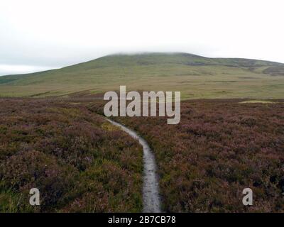 Der schottische Mountain Corbett 'Morven' & Rashy Moss auf dem Weg von Millton von Tullich in der Nähe von Ballater, Deeside, Schottland. Stockfoto