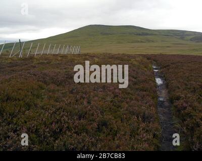 Der schottische Mountain Corbett 'Morven' & Rashy Moss auf dem Weg von Millton von Tullich in der Nähe von Ballater, Deeside, Schottland. Stockfoto