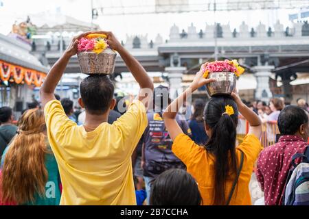 Singapur, SINGAPUR - 08. Februar 2020: Thaipusam ist eine religiöse Feier von Gläubigen. Sein Höhepunkt ist ein Barfußspaziergang von Anhängern, die Milchtöpfe tragen Stockfoto