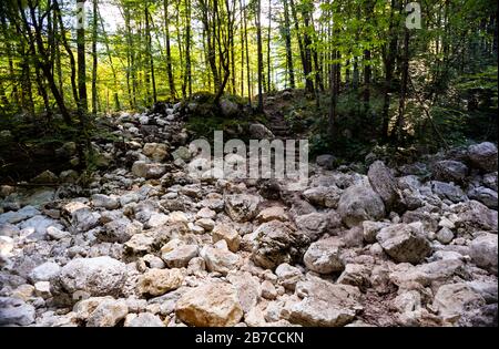 Ausgetrockneter Fluss voller Felsen in der Sommersaison, Slowenien Stockfoto