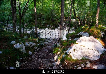 Ausgetrockneter Fluss voller Felsen in der Sommersaison, Slowenien Stockfoto