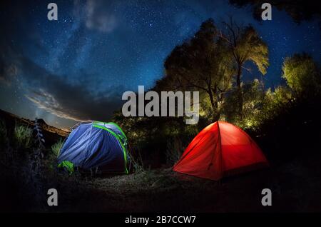 Zelt im Wald mit Sternenhimmel Stockfoto